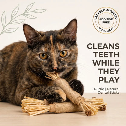 Verella Natural Silvervine Dental Sticks